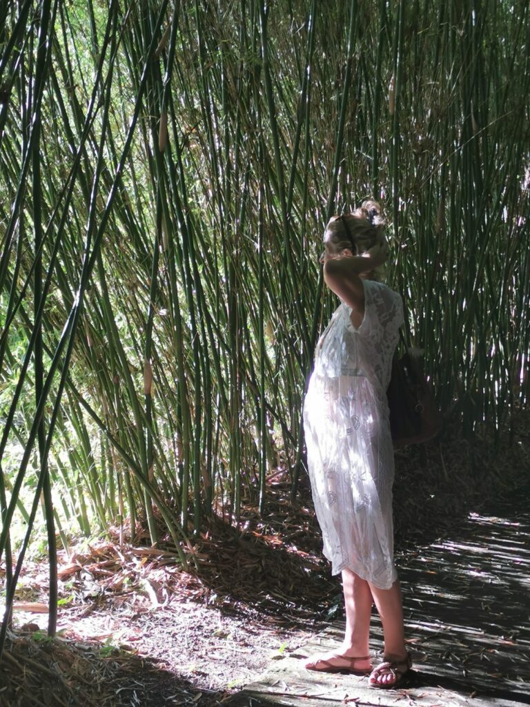 myriam gorichon