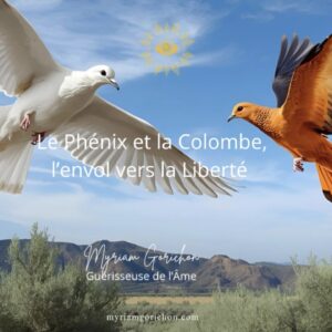 🕊️ Voyage Vibratoire de Guérison — Le Phénix et la Colombe
